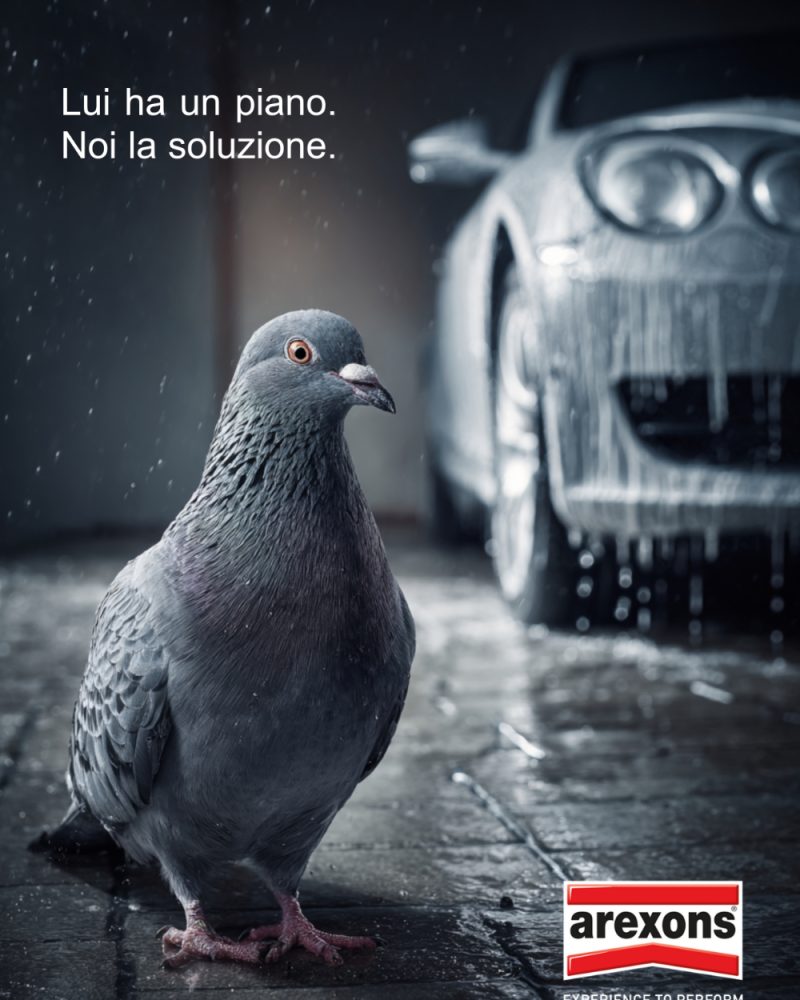 Campagna Creativa Arexons