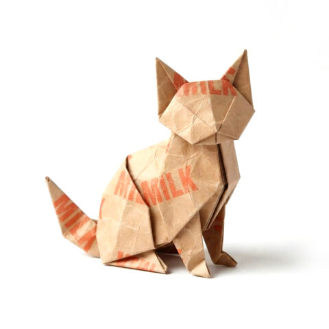 identity_cat